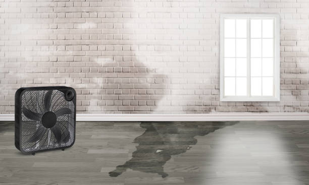 Best 24/7 water damage repair  in Garwood, NJ