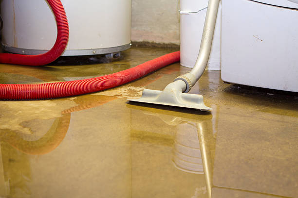 Best Local water damage restoration  in Garwood, NJ