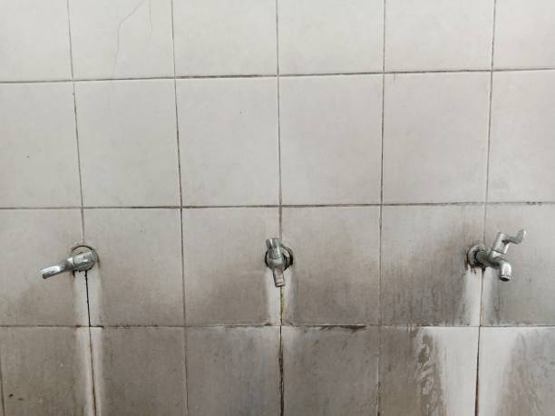 Best Carpet water damage restoration  in Garwood, NJ