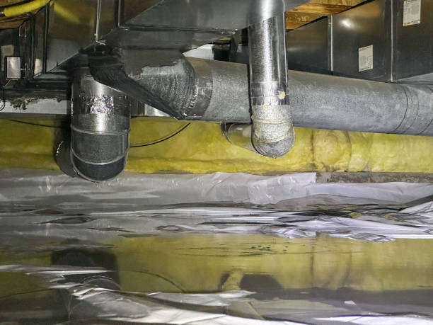 Best Basement water damage restoration  in Garwood, NJ