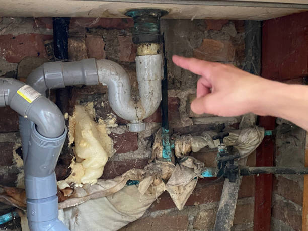 Best Professional water damage repair  in Garwood, NJ